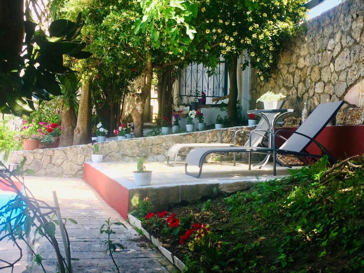 Hébergement de vacances Ermones Ruby *